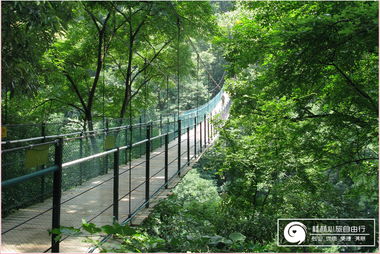 桂林东郊的野生游乐场：这里的瀑布会咬人