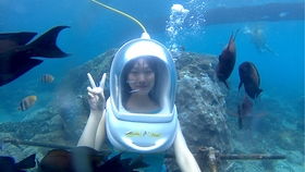 夜幕矮小垂，  海风轻巧拂