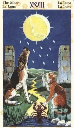 星座塔罗的神秘预警