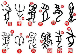 土字头代表哪个生肖？这生肖与土有何特殊关联？