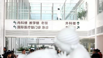 协和医院：百年传奇，从龙井茶到生命之光