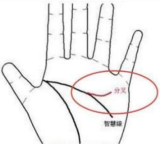 八字中双财库的女生，如何改写名字以彰显财运？