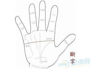 女人手相中哪些特征能体现她的性格和命运？