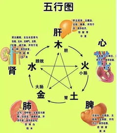 金气不足？你中招了吗？