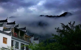 民宿， 家的味道，春日的诗篇（如guo不踩雷的话）