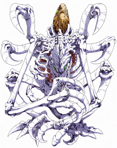 永无止境的噩梦与星座诅咒