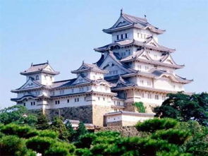 荣町真面目：人挤人得像沙丁鱼罐头