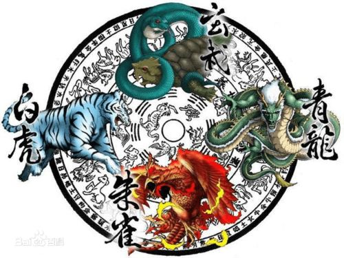 八字中玄武与青龙同时出现，这究竟暗示着怎样的命运奥秘？