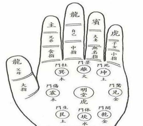 手相看运势：2026年你的爱情线会弯吗