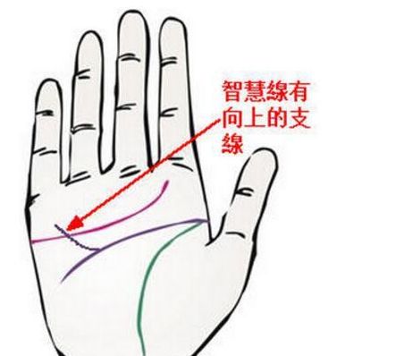掌心肉厚：耐心与毅力的保障