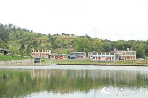 三、 百泉湖村：探索生态致富路