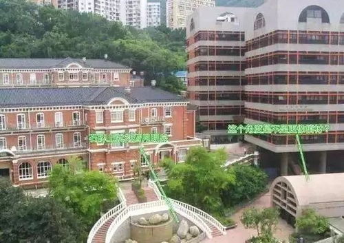 风水学在香港大学叫什么,香港Zui出名的风水大学