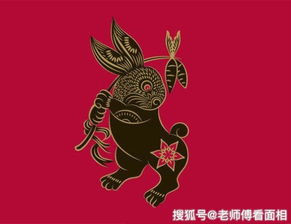 生肖撞名:兔子扛枪vs老虎戴辔头