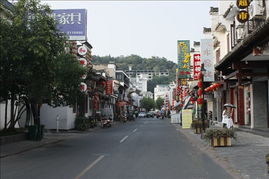 菲利斯山社区， 那里的艺术与历史相遇
