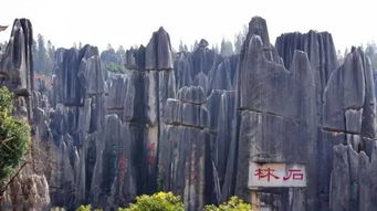 住宿选择