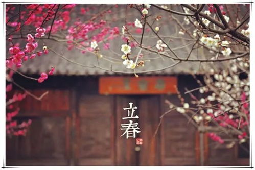 春序曲·民俗盛宴，立春爆款活动来袭！