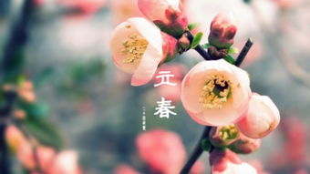 震惊！2026年立春出生的宝宝竟然自带