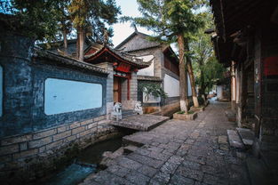 邂逅丽江， 一场晨雾中的邂逅