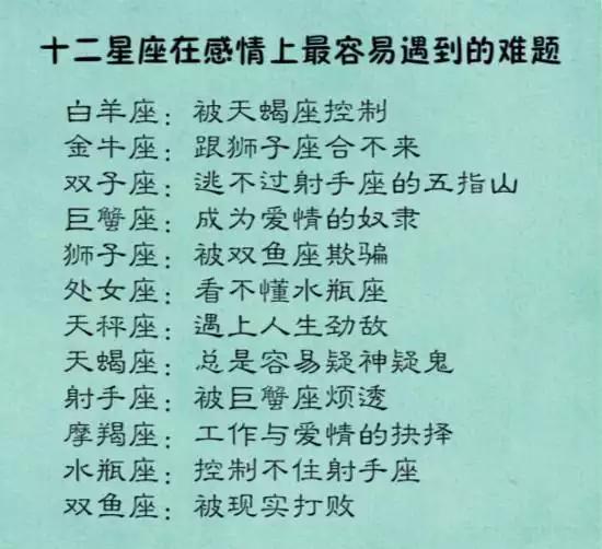 职场锦鲤VS职场咸鱼