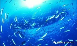 第三章：震惊的找到与星座错位