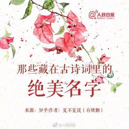 花见：另一种选择？