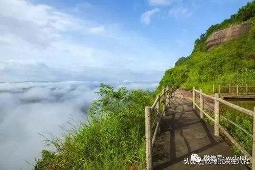 一、春天的藤县，等待你的发现