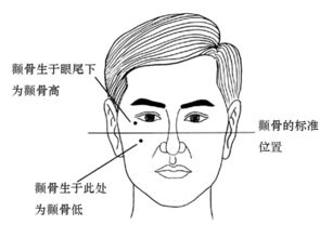 心理学？都是骗小孩的！