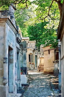 行业深度洞察与差异化策略建议（乱写版）