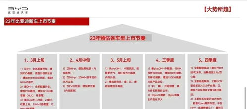 那个让人纠结的日子：2023年8月15日