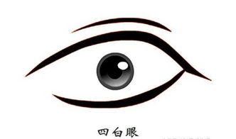 白羊座：行走的炸药包