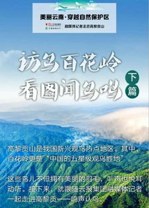 四、 情感炸裂区——哭笑不得的旅行感悟