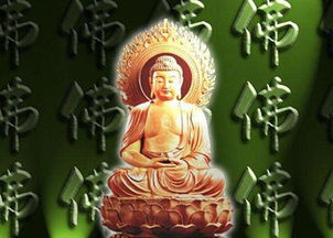 十二生肖特质与前世粘合点一览表（略）