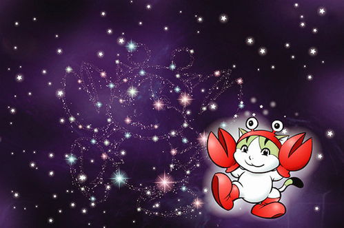 第三弹：金牛座=居家养老组合