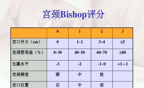 表格时间段——吃哪些才能让内膜“厚一点”？