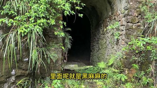 风水奇特的大山洞,风水奇特的大山洞