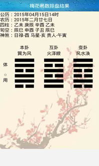 梅花易数的现代应用
