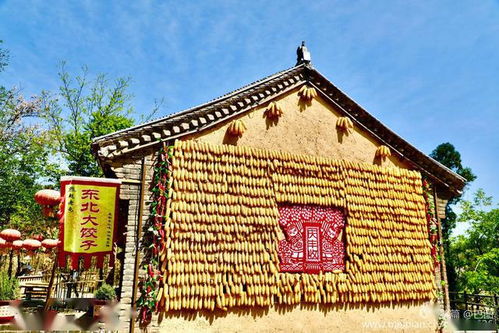 生肖暗号解密