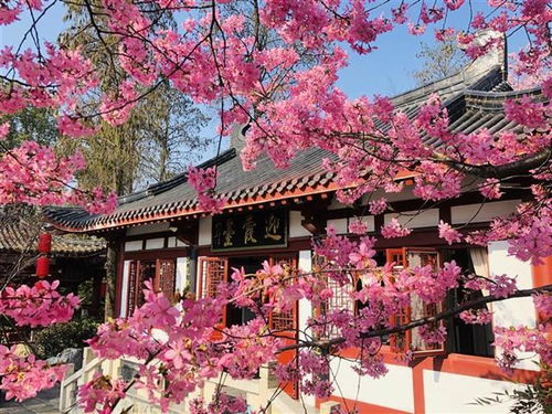 知音号、 归元寺，那些听起来就很厉害的地方