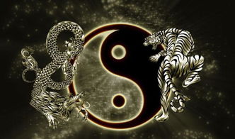 男命八字身弱印枭多，如何调整用神以增强命局？