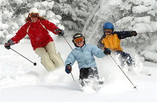 雪道真相：新手坟场实锤