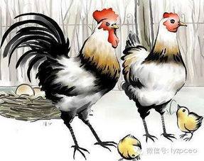 老黄历说啥就是啥
