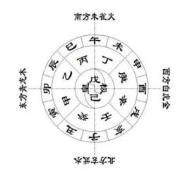十二星座中，哪个星座的五行属性是木？