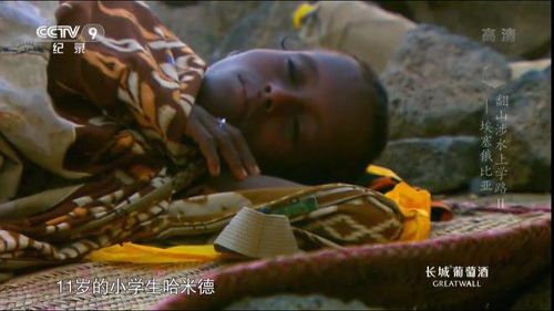永远的呼唤