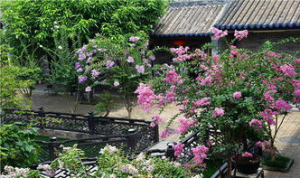 二、那些花儿到底长啥样？（重点来了敲黑板！）