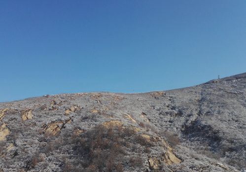 洞外山势雄伟 林茂气爽 风景秀丽