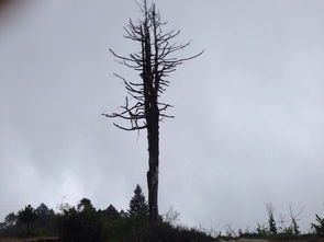 登顶前的准备：你准备良好了吗？