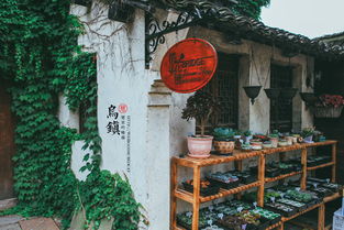 水乡风情：青砖白墙和臭水沟