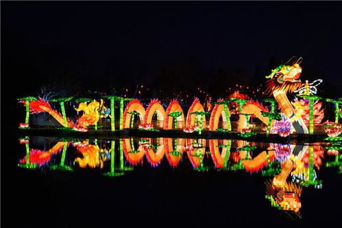 多彩贵州城：新春狂欢, 花灯展彩