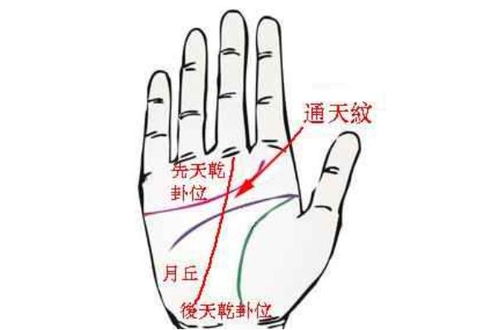 自由恋爱 vs. 传统婚姻