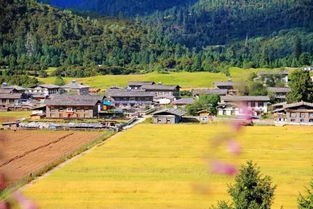 镇康的韵味， 藏在这些“没被开发”的细节里